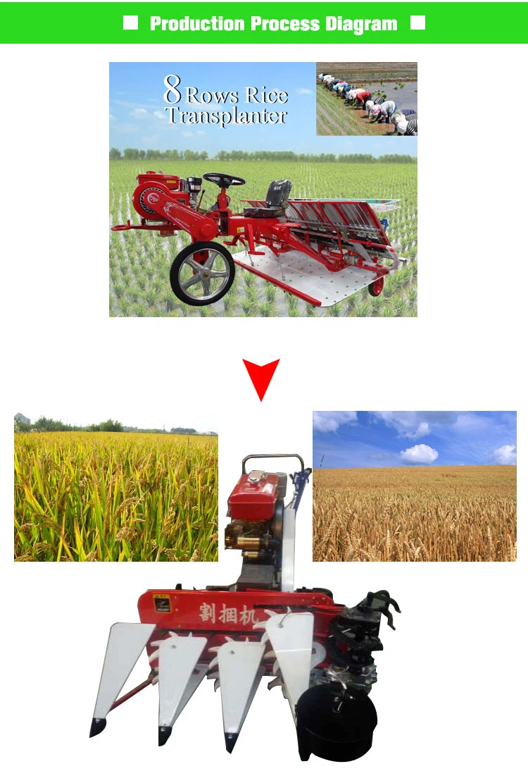 Mini Rice Harvester Mini Rice Harvester