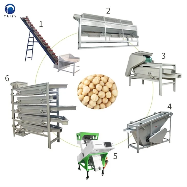 macadamia nut production line-2