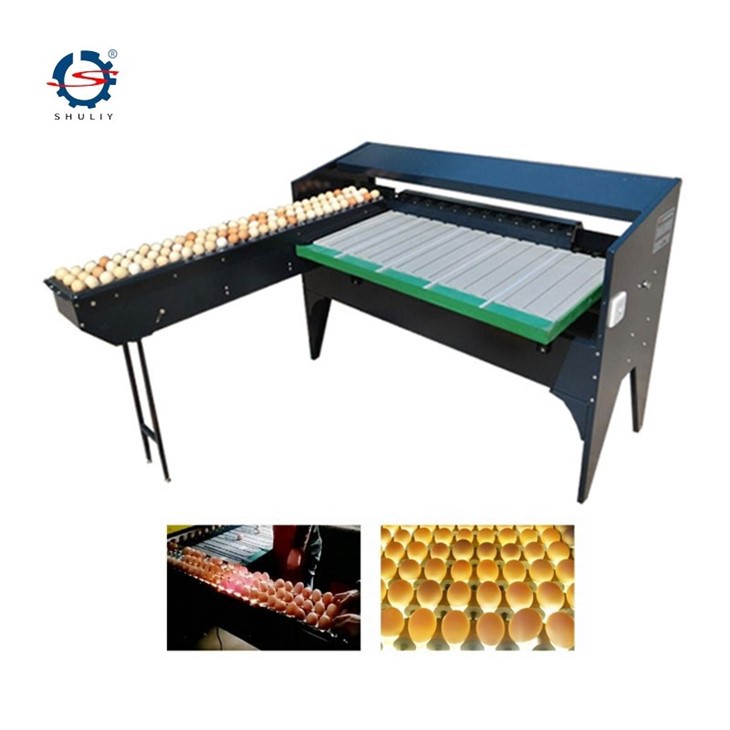 egg sorting grading machine3