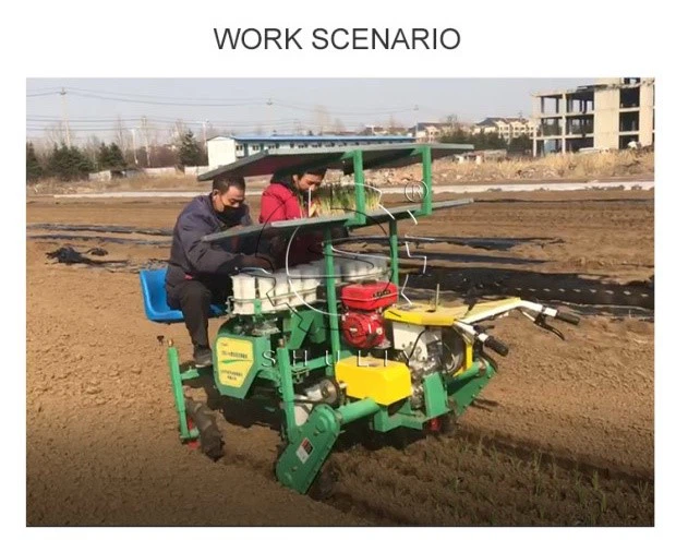onion transplanter onion transplanter