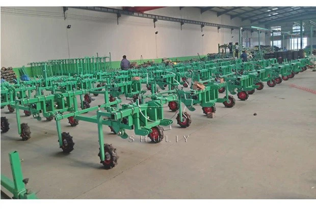 onion transplanter onion transplanter