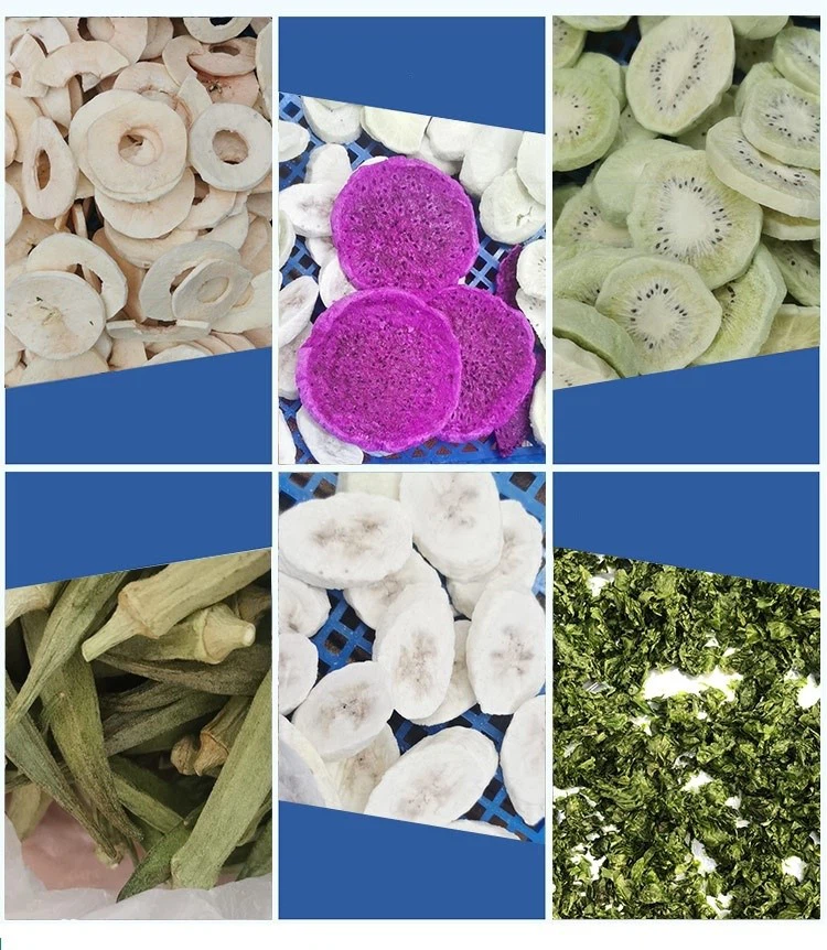 industrial freeze drying machine industrial freeze drying machine