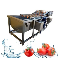 ماكينة غسيل الطماطم